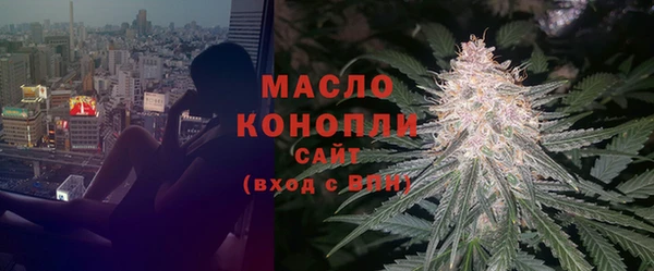 mix Инта