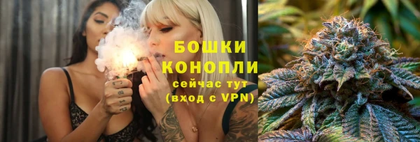 mix Инта
