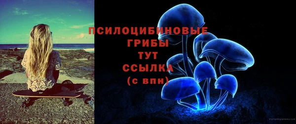 mix Инта