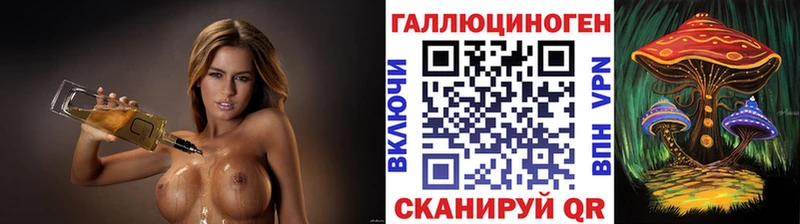 Галлюциногенные грибы Psilocybine cubensis  Купить где  Гаврилов Посад 